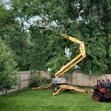 Best Sod Installation  in Tashua, CT